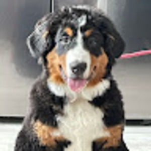 Meet your Posher, Mary-catherine